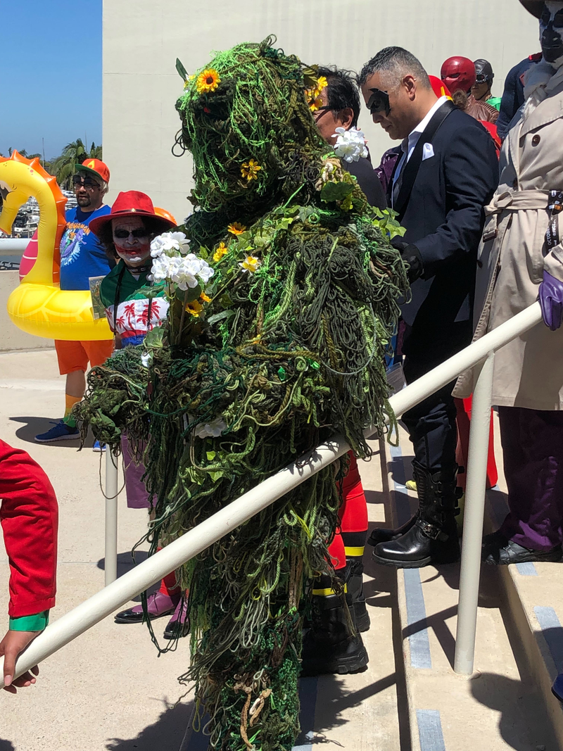 The guardian of the green himself, Swamp Thing!